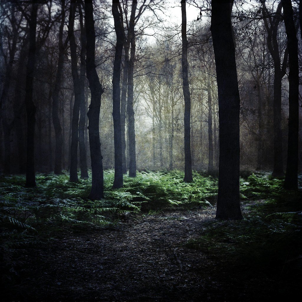 Five-Day Silent Retreat — Spring Cohort