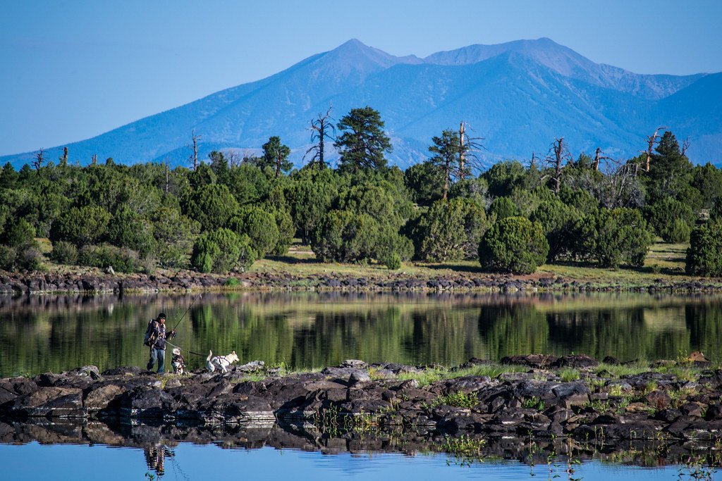 Six-Day Progression Retreat — June Cohort
